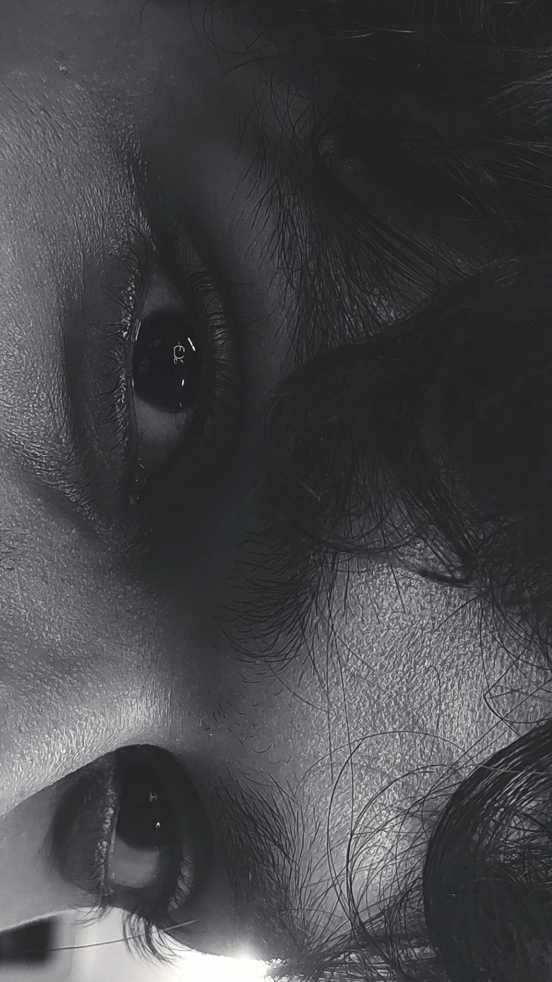 Poems banner image